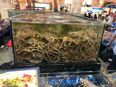 水产区-东江海鲜酒家(艺都分店)