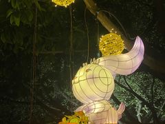 -文华公园(禅城区)