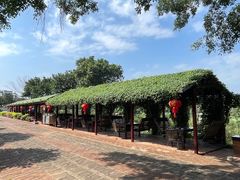 -侯臣咖啡文化村