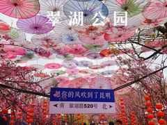 -翠湖公园