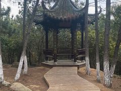 -南京市无想山景区