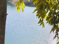-红花湖景区