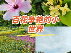 -金鸡岭桥头公园