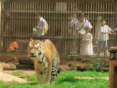 -昆明动物园