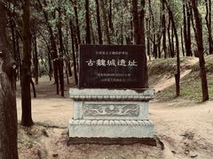 -永乐宫