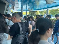 -芜湖新华联大白鲸海洋公园