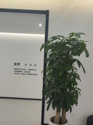 -医方嘉明医疗美容