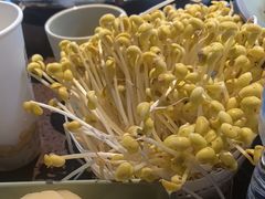 -巴倒烫陆派火锅山庄(南山总店)