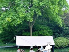 -杭州城北体育公园