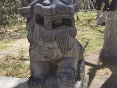 -罗布林卡