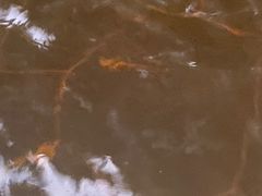 -七彩云南古滇温泉山庄