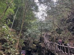 -藏龙百瀑风景区