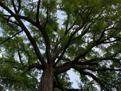 -天津盘山风景名胜区