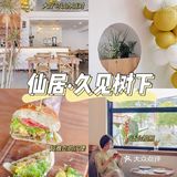 仙居探店 | 一家不会再二刷的简餐店·久见树下