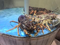 -顺峰(农展馆店)