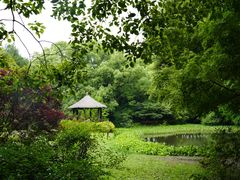 -上海共青森林公园