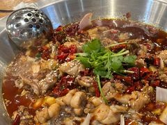 香辣田鸡锅-海岛八号龙虾烧烤田鸡(蓝天路总店)