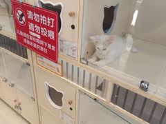 -北京长安天街