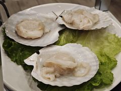 扇贝王-吉友粥底火锅(方斜路店)