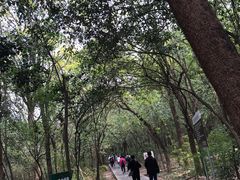 -紫金山山顶公园