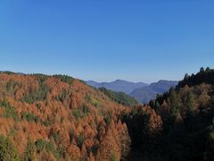 -山王坪喀斯特国家生态公园