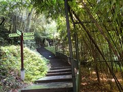 -常德桃花源景区