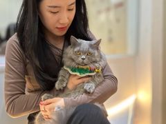 -COLOR PETS 撸猫馆·购猫·猫咖(长风大悦城店)