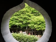 -婺源风景区