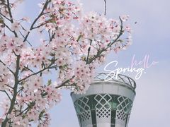 -上海山野camping·户外天幕烧烤·团建拓展营地