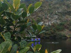 -茗荔园农庄(大涌店)