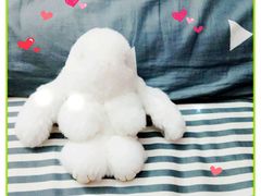 -高铁便当(长白街店)