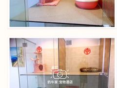 -奶牛家宠物酒店(嘉宏云顶店)