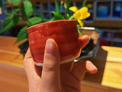 -今日陶艺(富力广场店)