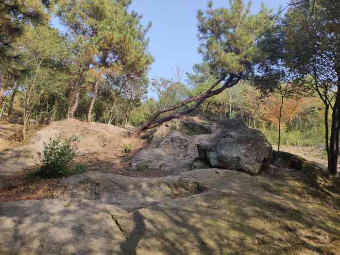 南京市無想山景區