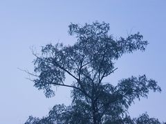 -水上明月·湖景餐厅
