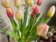 -循礼门鲜花花市(武汉循礼门店)