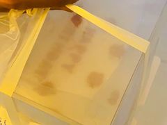 -今日·TODAY手作低脂动物奶油蛋糕定制(高新万达店)