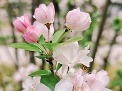 -桤木河湿地公园