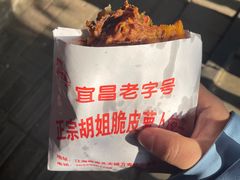 -半月镰胡姐脆皮萝卜饺子