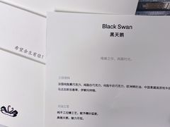 -BLACKSWAN黑天鹅(环球店)