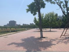 -廊坊文化艺术中心