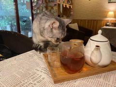 -隅cafe(傅厚岗店)