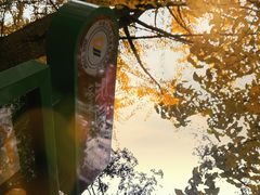 -四川大学(望江校区)