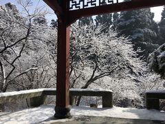 -庐山风景区花径公园