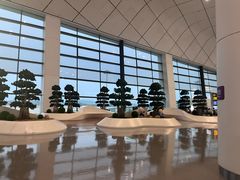 -郑州新郑国际机场-T2航站楼