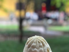 -西园寺素食(西园弄戒幢律寺店)