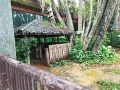 -海南热带野生动植物园