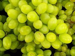 -重百超市(鲁能星城店)