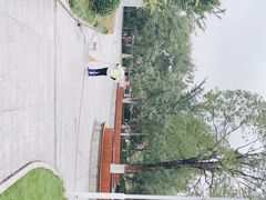 -宝岛公园