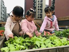 -蒙田森·蒙特梭利幼儿园(锦西园区)